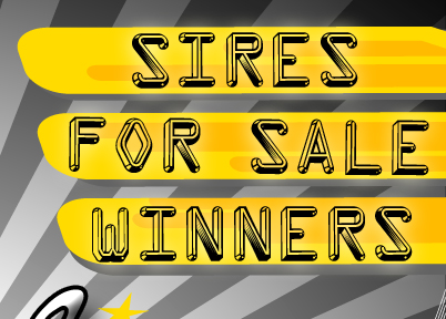 Sires - For Sale - Winners